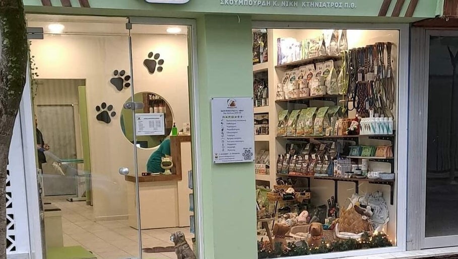 PAWsitive VET - ΣΚΟΥΜΠΟΥΡΔΗ ΝΙΚΗ image 1