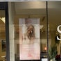 Anaïs Cerqueira Chez SB Coiffure