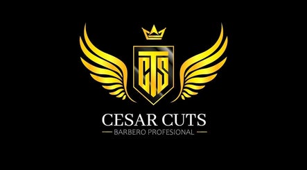 Cesar cuts barber estudio