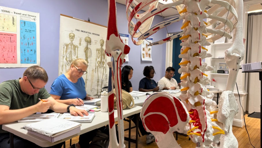 Students learning anatomy at Body in Mind Massage Institute - West New York, NJ with skeletal models around.