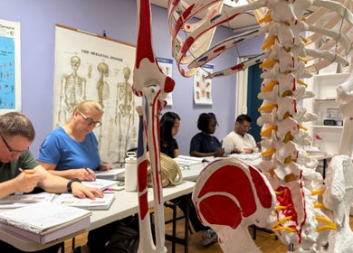 Students learning anatomy at Body in Mind Massage Institute - West New York, NJ with skeletal models around.
