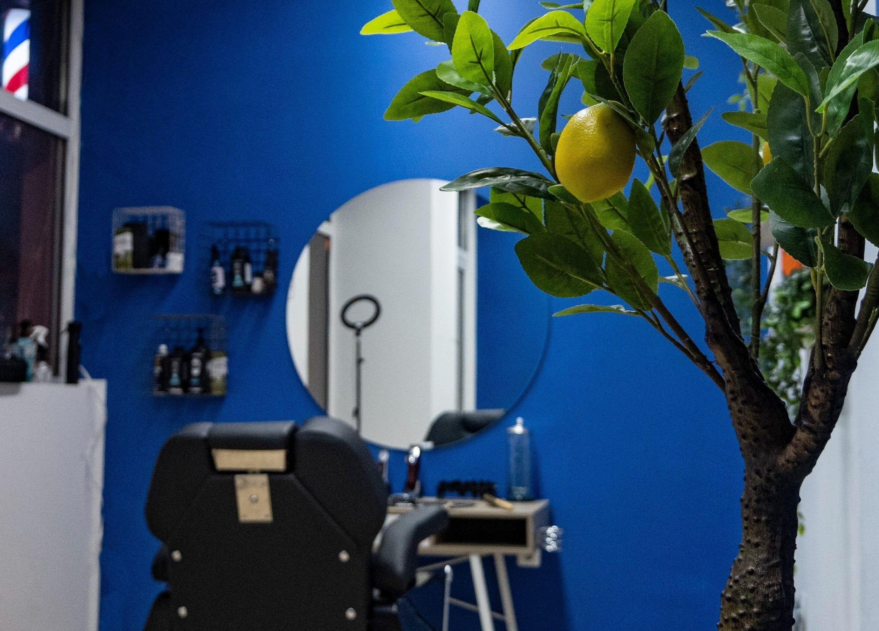 Blue accented interior of Saint of Shaves Barbershop in Sofia, featuring a lemon tree for refreshment.