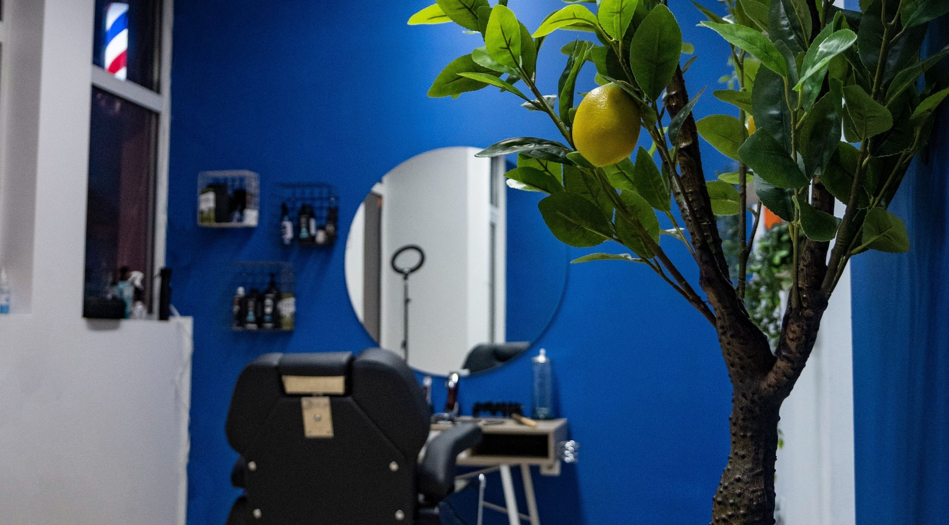 Blue accented interior of Saint of Shaves Barbershop in Sofia, featuring a lemon tree for refreshment.