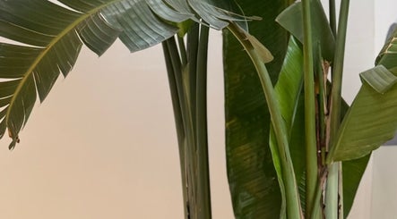 solara studio image 2