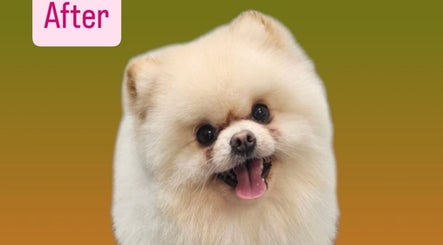 Pet Pampers image 2