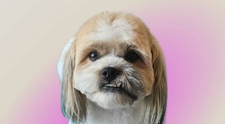 Pet Pampers image 3