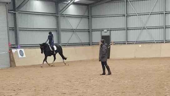 Eustace Equine