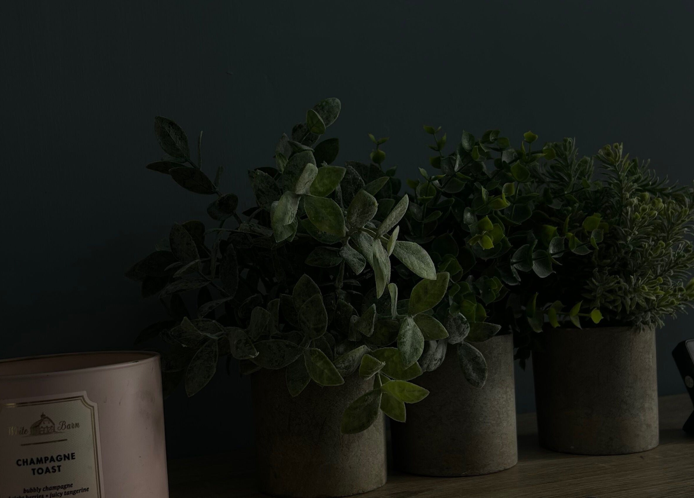 Elegant decor with plants and candle at Sknthetic Studio, Portmore, St. Catherine Parish, JM.