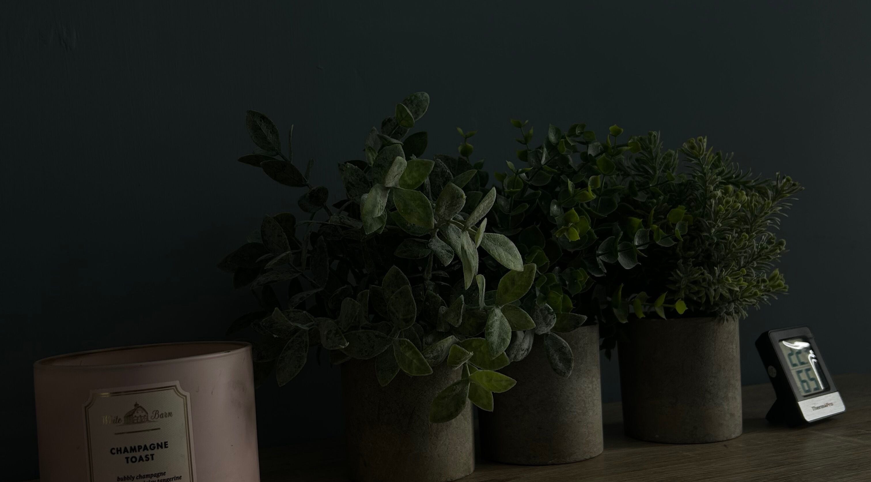 Elegant decor with plants and candle at Sknthetic Studio, Portmore, St. Catherine Parish, JM.