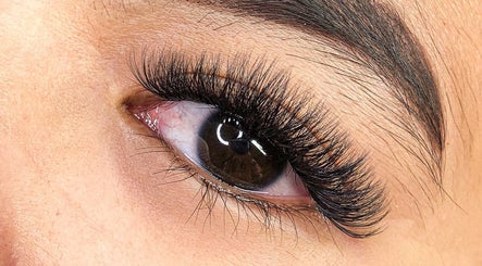 Zy Lashes