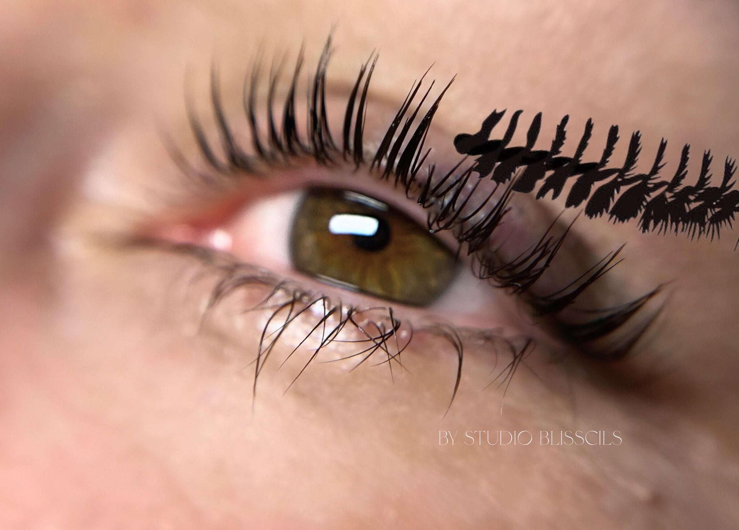 Extension de cils par Studio Bliss Cils, Plounévez-moëdec, Bretagne, FR, montrant des cils embellis.
