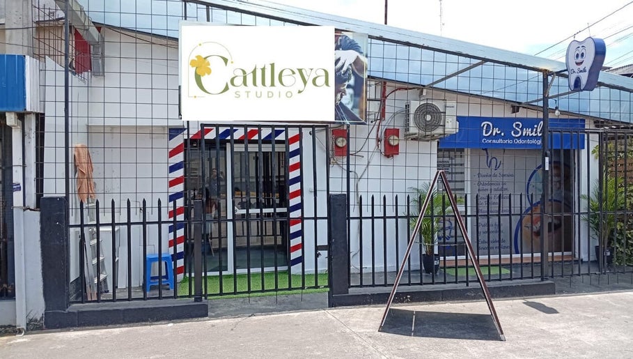 Cattleya studio ec image 1