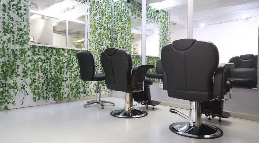 Interior verde y moderno de El 28 Curly Hair Salon Peluqueria Rizada en Barcelona, Catalunya, ES.