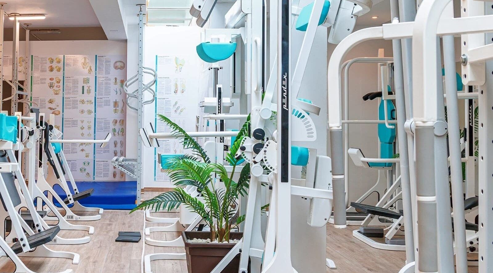 Modern gym equipment at Sierra Blanca Personal Trainings Studio, Marbella, Andalucía, ES, offering a tranquil workout space.
