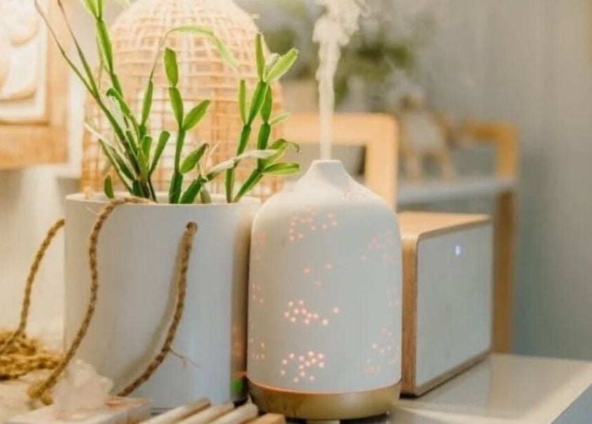 Aromatic diffuser and plants at My Little Oasis, Palmerston North, Manawatū-whanganui, NZ for a serene atmosphere.