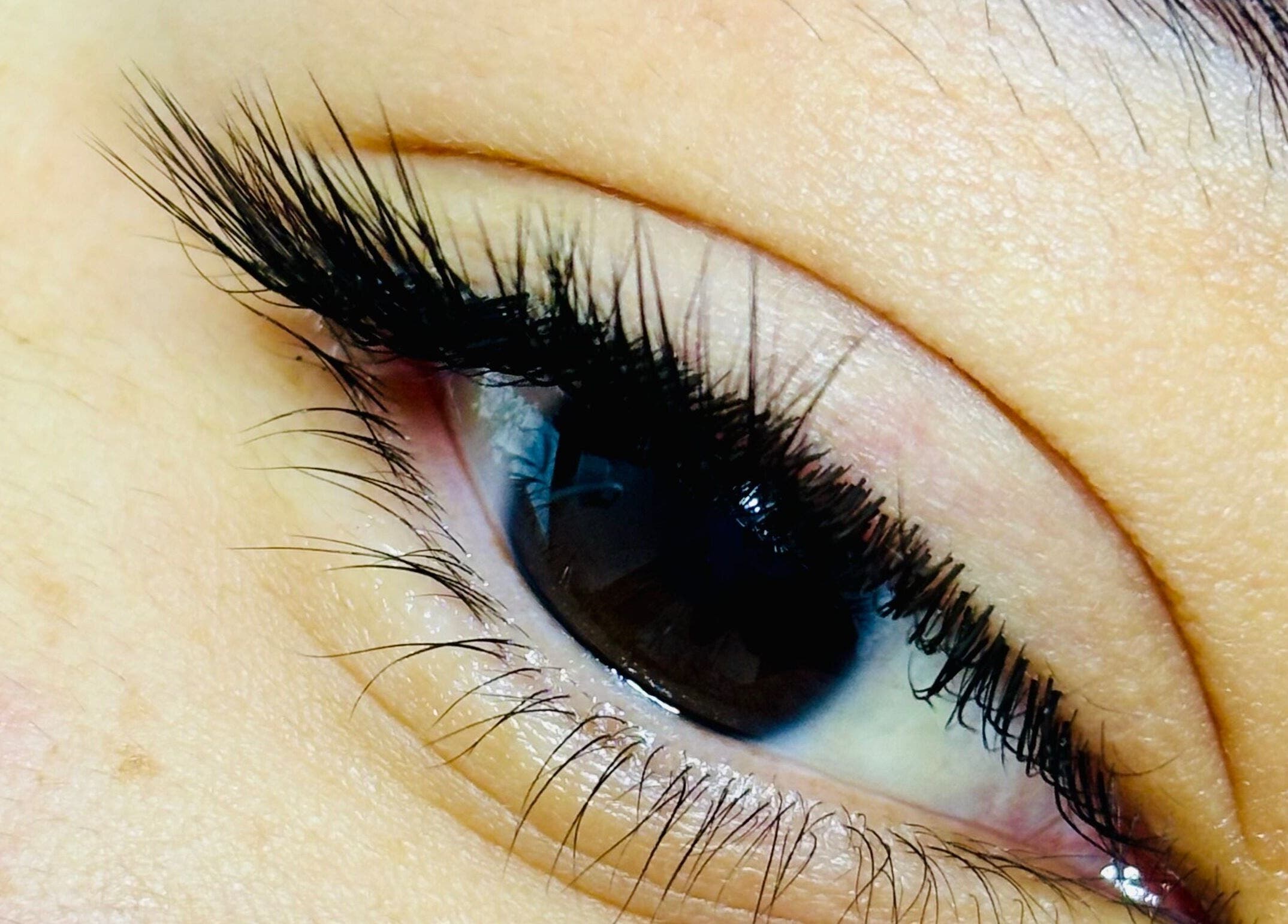 Close-up of elegant eyelash extensions at Comfy Lashes, Canberra, Australian Capital Territory, AU.