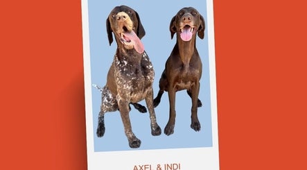 Pampered canines, bilde 3