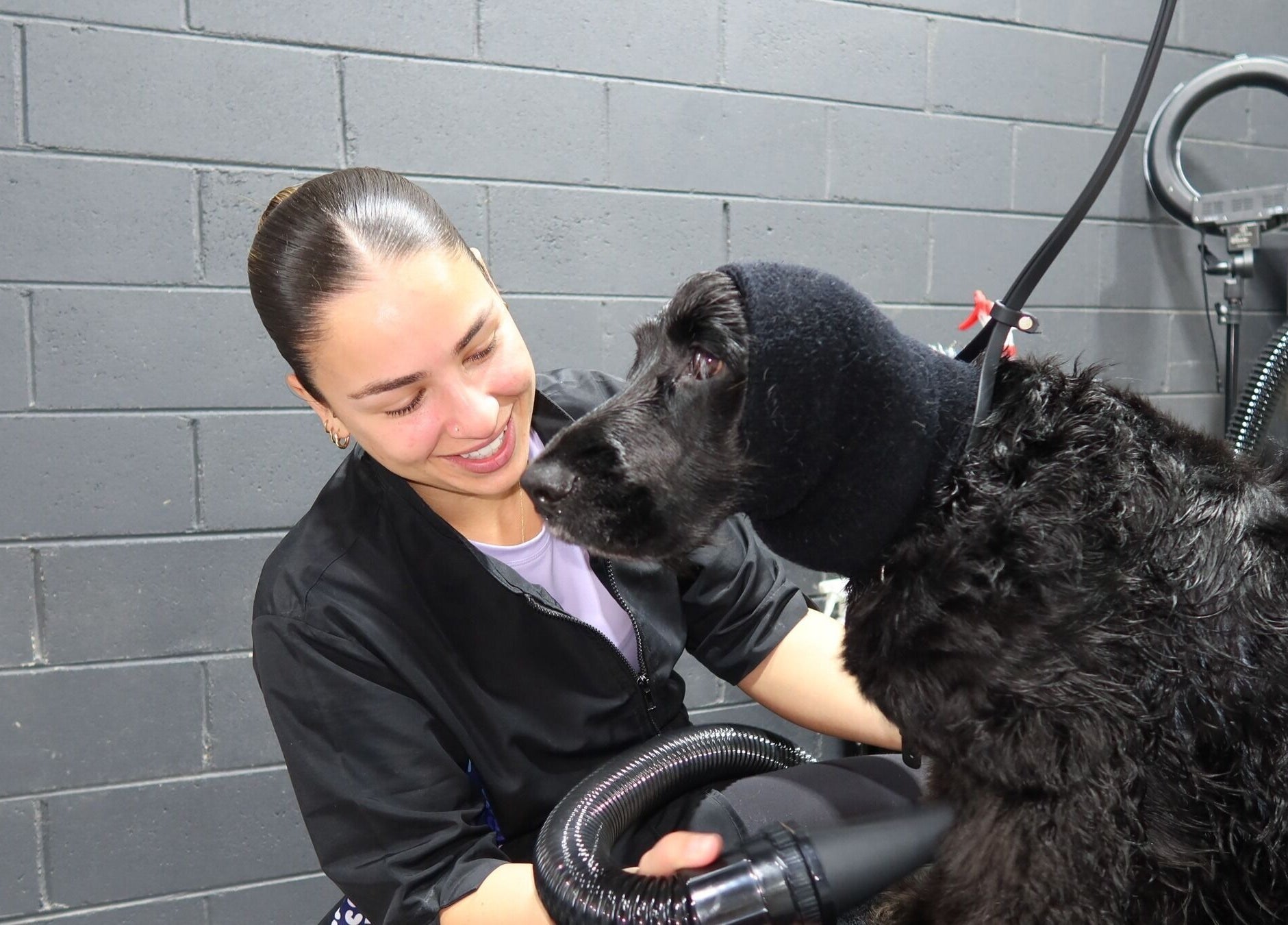 Pampered Canines grooming session with dog and stylist in Melbourne, Victoria, AU.