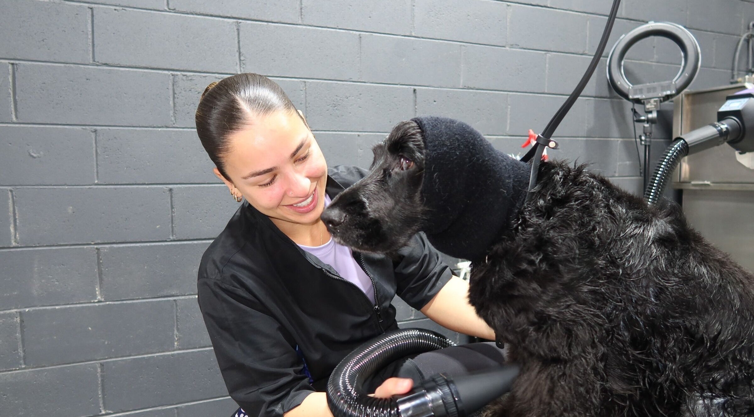Pampered Canines grooming session with dog and stylist in Melbourne, Victoria, AU.