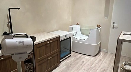 Golden Pom Spa image 2