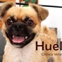 Estética Canina Huellas