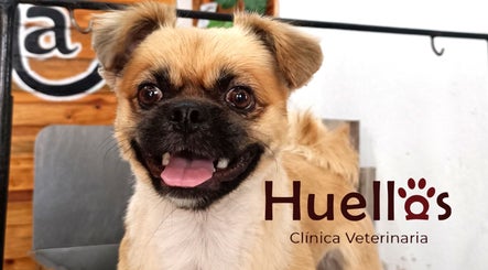 Estética Canina Huellas