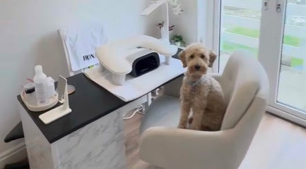 Charming dog sitting on a chair in Nails by Camila, a serene salon in Newton Aycliffe, England, GB.
