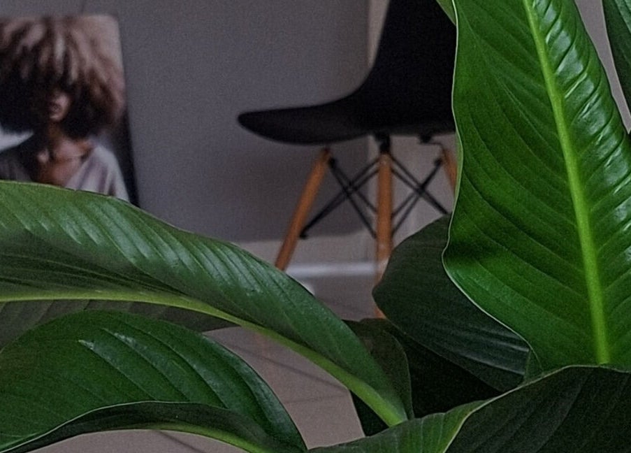 Planta exuberante em ambiente moderno do Fresh House | Beauty Space, São Paulo, São Paulo, BR.