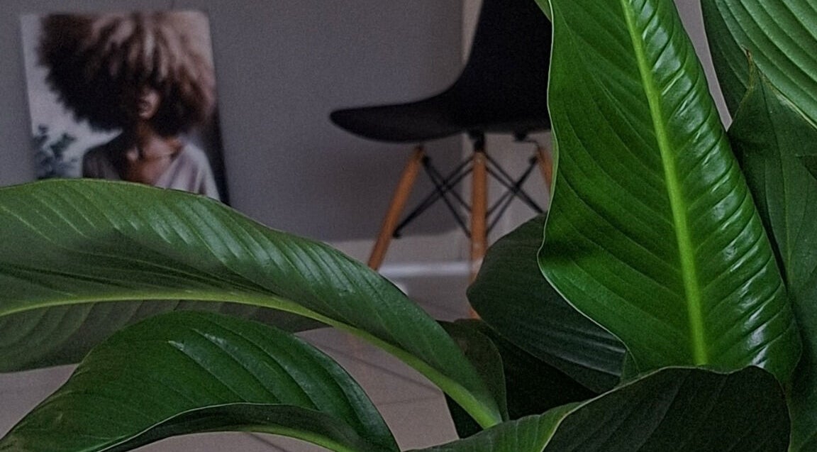 Planta exuberante em ambiente moderno do Fresh House | Beauty Space, São Paulo, São Paulo, BR.