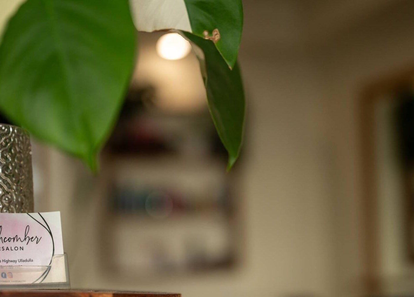 Lush greenery at Beachcomber Hairsalon in Ulladulla, New South Wales, AU, enhancing the calming vibe.