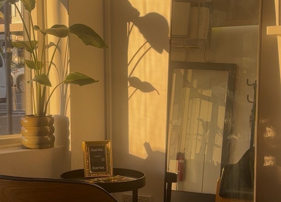 Sunny interior corner of Auréa Studios, Manly, New South Wales, AU, with a plant and mirror reflecting warm light.