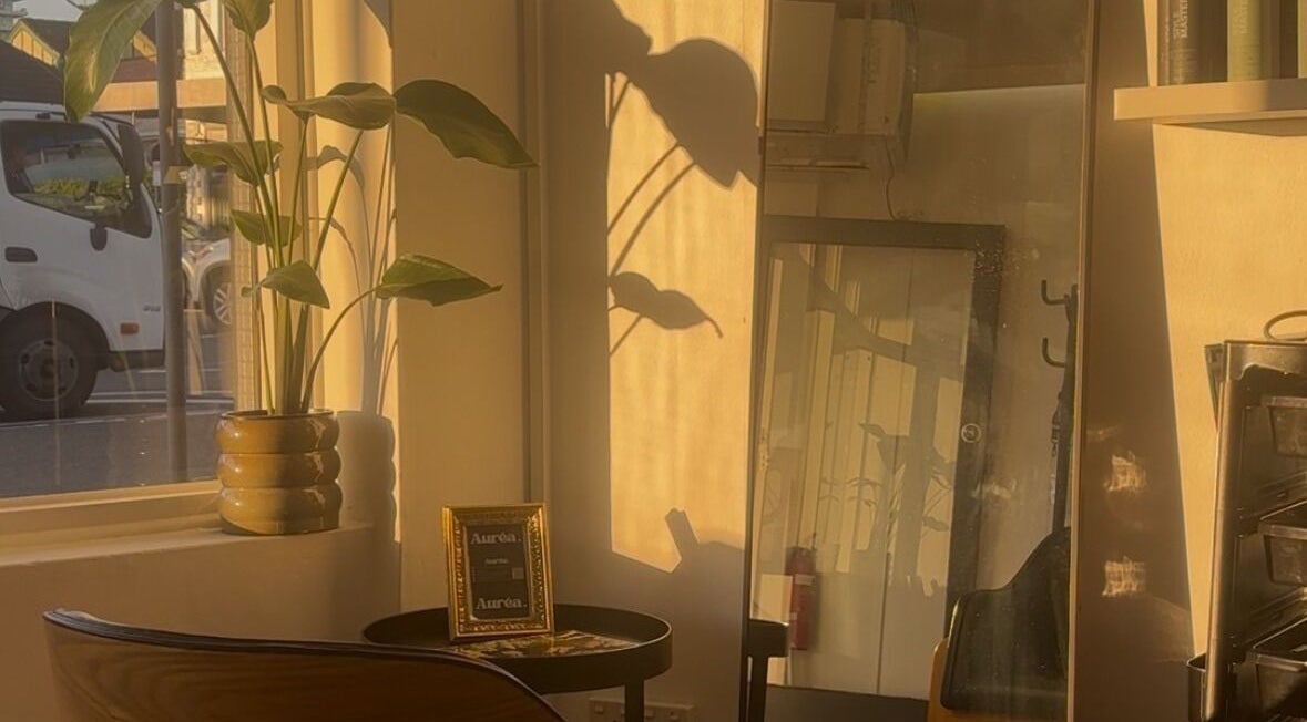 Sunny interior corner of Auréa Studios, Manly, New South Wales, AU, with a plant and mirror reflecting warm light.