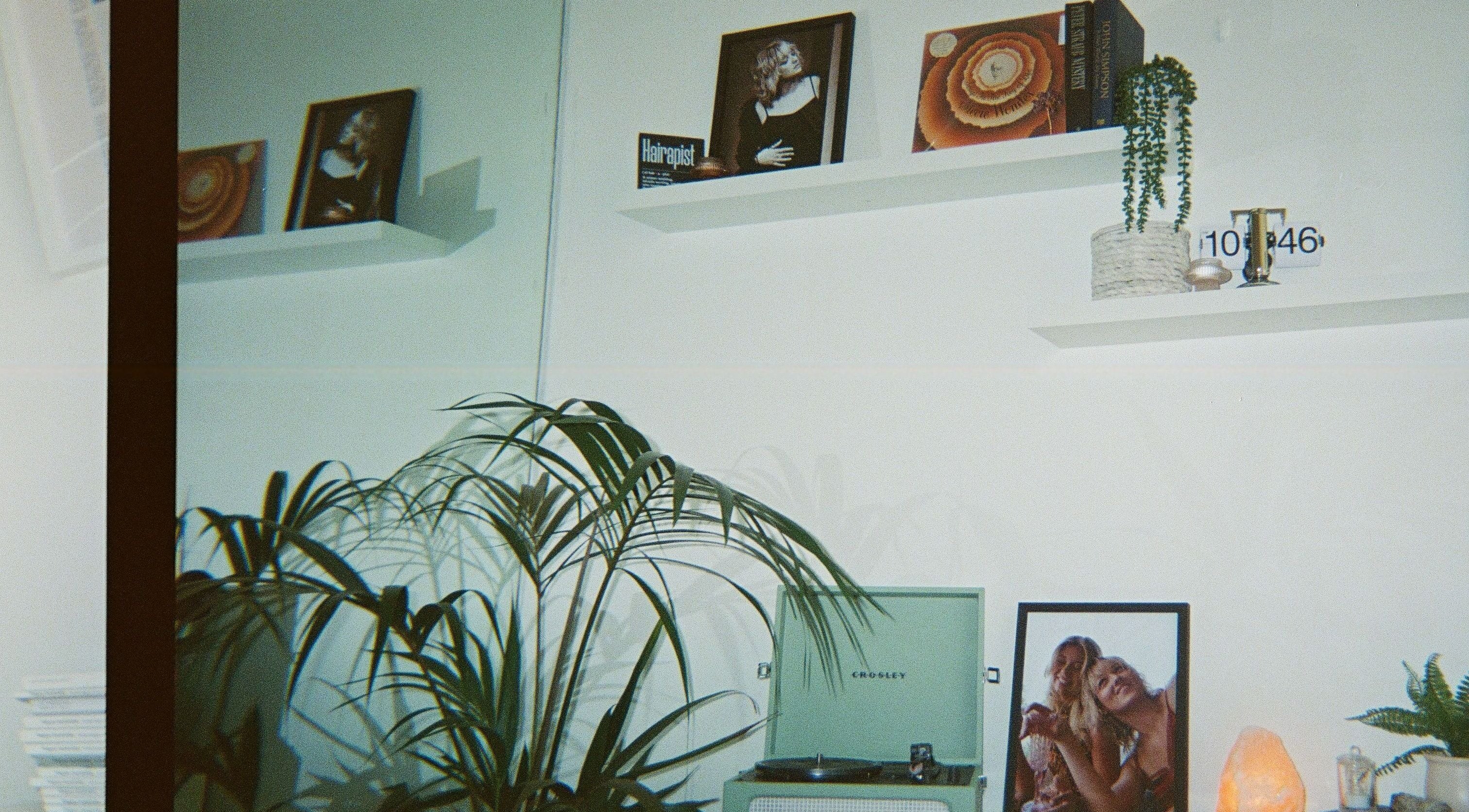 Tranquil Auréa Studios in Manly, New South Wales, AU with plants and decor on shelves creating a relaxing vibe.