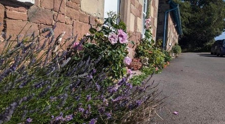 Charming garden at Heavenly Treatments with Hayleybell, Kelso, Scotland, GB with lavender and brick facade.