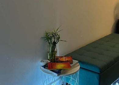 Relaxing corner at Afon Thai Massage in Cardiff, Wales, GB with books and a plant on a side table.