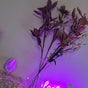 Beautyybyk