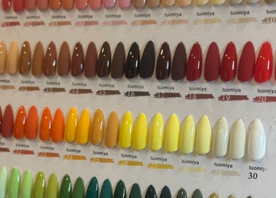 Palette d'ongles colorés à Wolf SGX Nail Studio, Montréal, Québec, CA, offrant des nuances vibrantes.