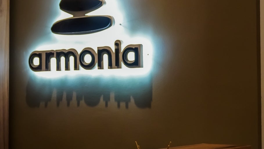 Εικόνα Armonia Therapy 1