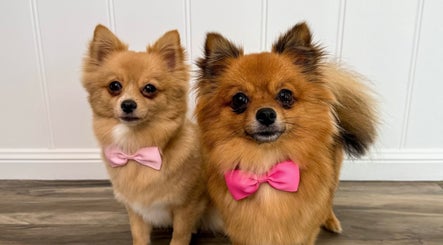 Dog Street Pet Grooming