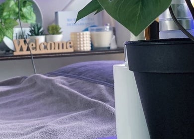 Relaxing treatment room at Homebush Beauty Skin Care, Homebush, New South Wales, AU with plants and welcoming decor.
