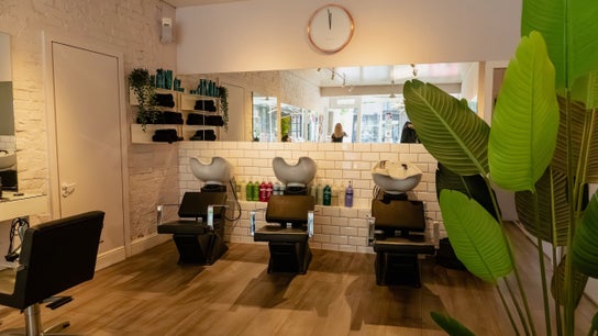 David Masters Salon - Richmond Bridge 1