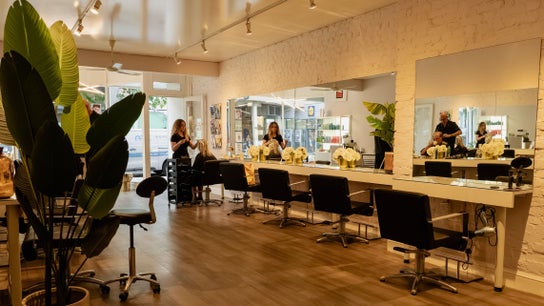 David Masters Salon - Richmond Bridge 2