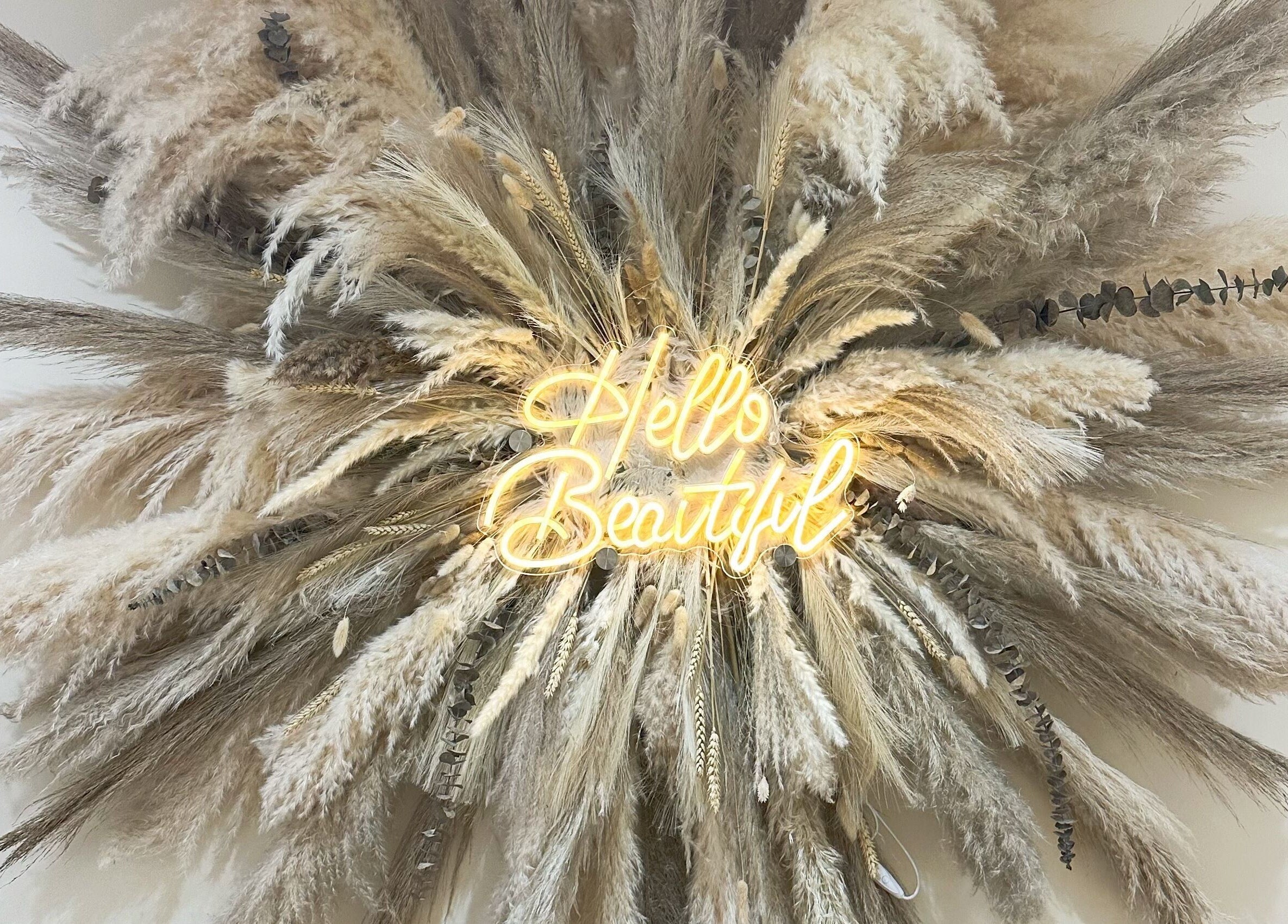 Elegant pampas grass with neon 'Hello Beautiful' at J9 Aesthetics, Harworth, England, GB.