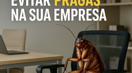 Everest Controle de pragas Dedetização & Desentupimento em São Paulo image 2