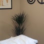 Jason Walsh Acupuncture Clinic
