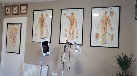Jason Walsh Acupuncture Clinic image 2