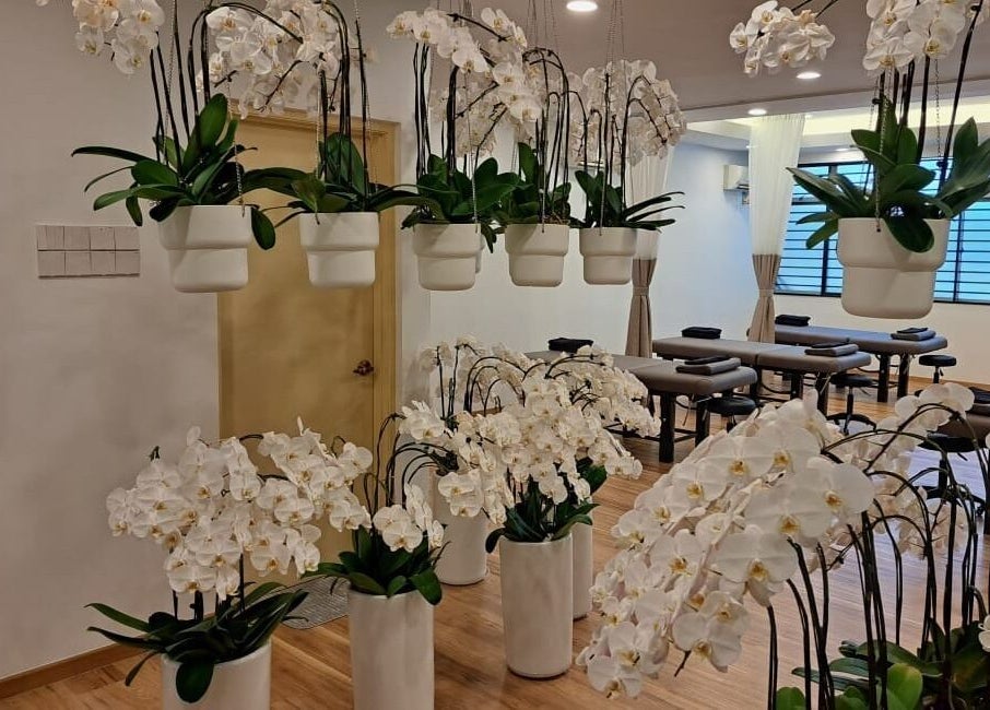Elegant orchids adorn The Flexologist, Kuala Lumpur, Wilayah Persekutuan Kuala Lumpur, MY wellness sanctuary.