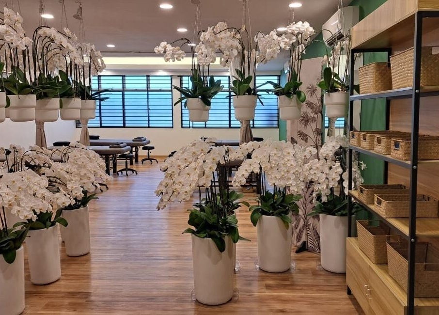 Elegant orchids at The Flexologist, Kuala Lumpur, Wilayah Persekutuan Kuala Lumpur, MY wellness venue.