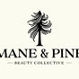 Mane & Pine (Laurie Gurr Beauty) - 5 Pine Street, East Aurora, New York