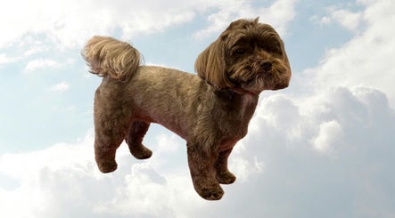 First Class Fur obrázek 3